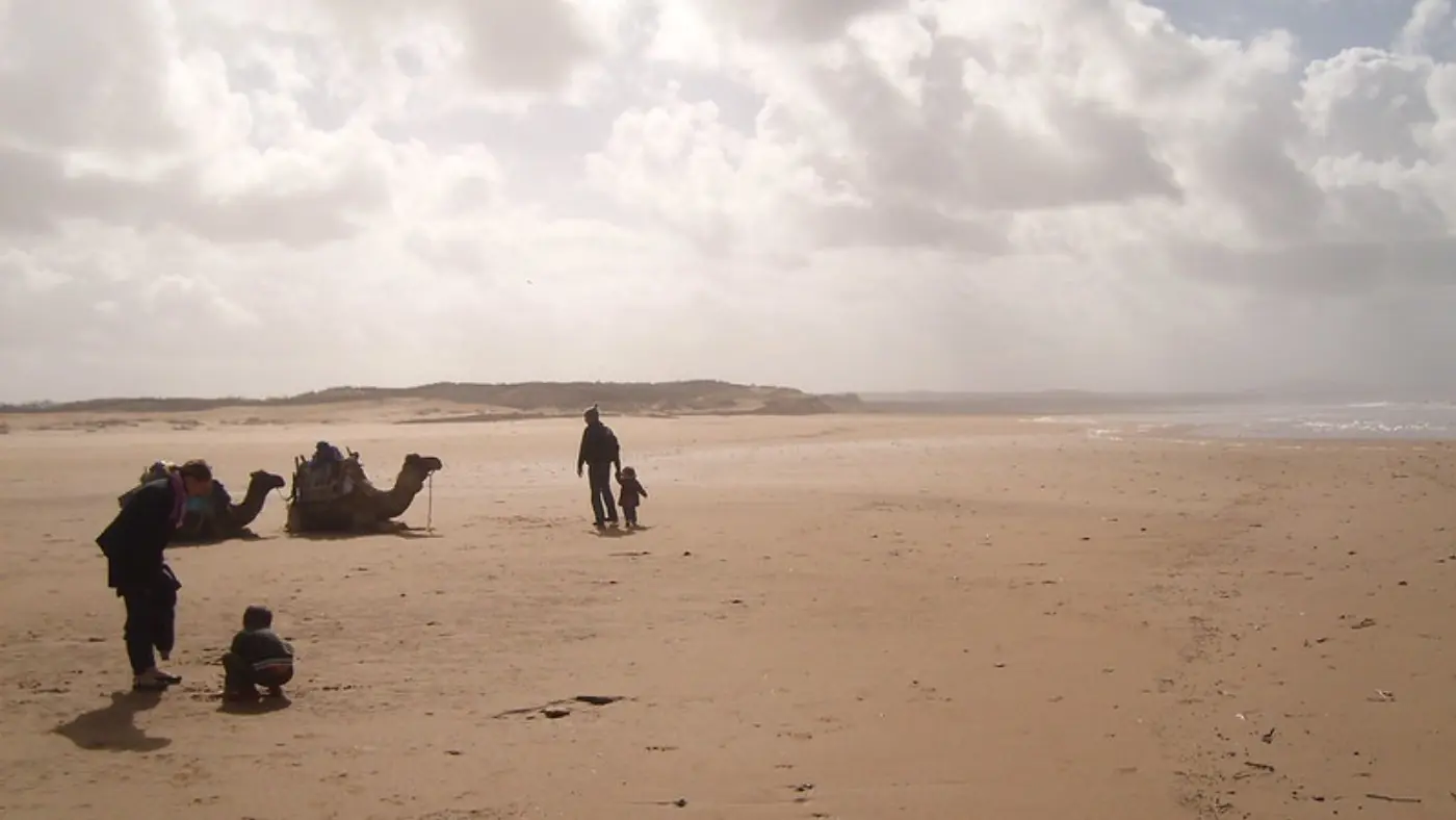 15 Tage Marokko-Odyssee: Königsstädte, Wüste & Küste — Coastal Beach Camels